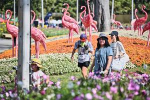 BIB: 
                            <button type="button" onclick="openModal(27794139)" class="btn btn-primary btn-sm float-right btn-popup" data-toggle="modal" data-target=".modal-high-quality">
                        <i class="fas fa-shopping-cart"></i> Add to Cart
                    </button>
                                            <button type="button" onclick="isThisMe(27794139, true)" class="btn btn-success btn-sm float-right btn-popup btn-isme hidden" data-toggle="tooltip" data-placement="bottom" title="นี่คือรูปของคุณใช่ไหม คลิกที่นี่เพื่อเอาเข้าอัลบั้ม">
                        <i class="fas fa-plus"></i> Add to album
                    </button>
                    <button type="button" onclick="isThisMe(27794139, false)" class="btn btn-warning btn-sm float-right btn-popup btn-isnotme hidden">
                        <i class="fas fa-ban"></i> Remove from album
                    </button>